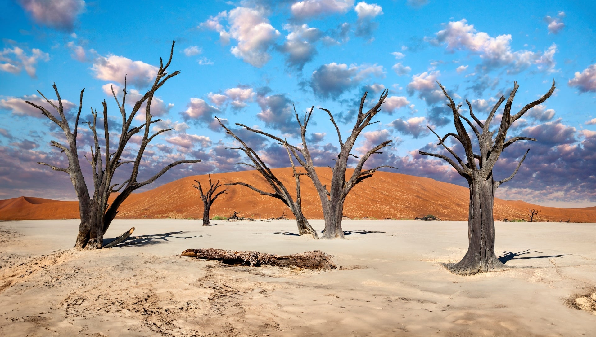 The Desert Within Us