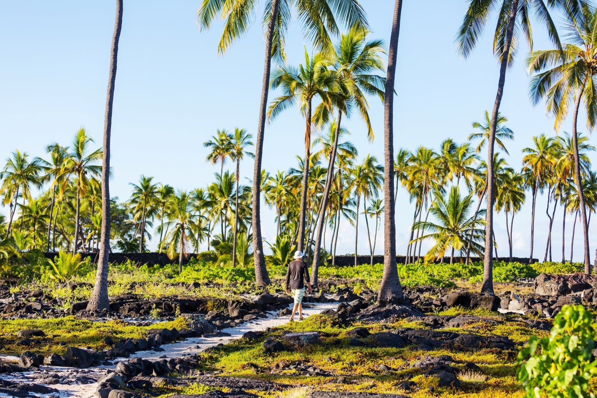 Attraverso il Nā Pali Park