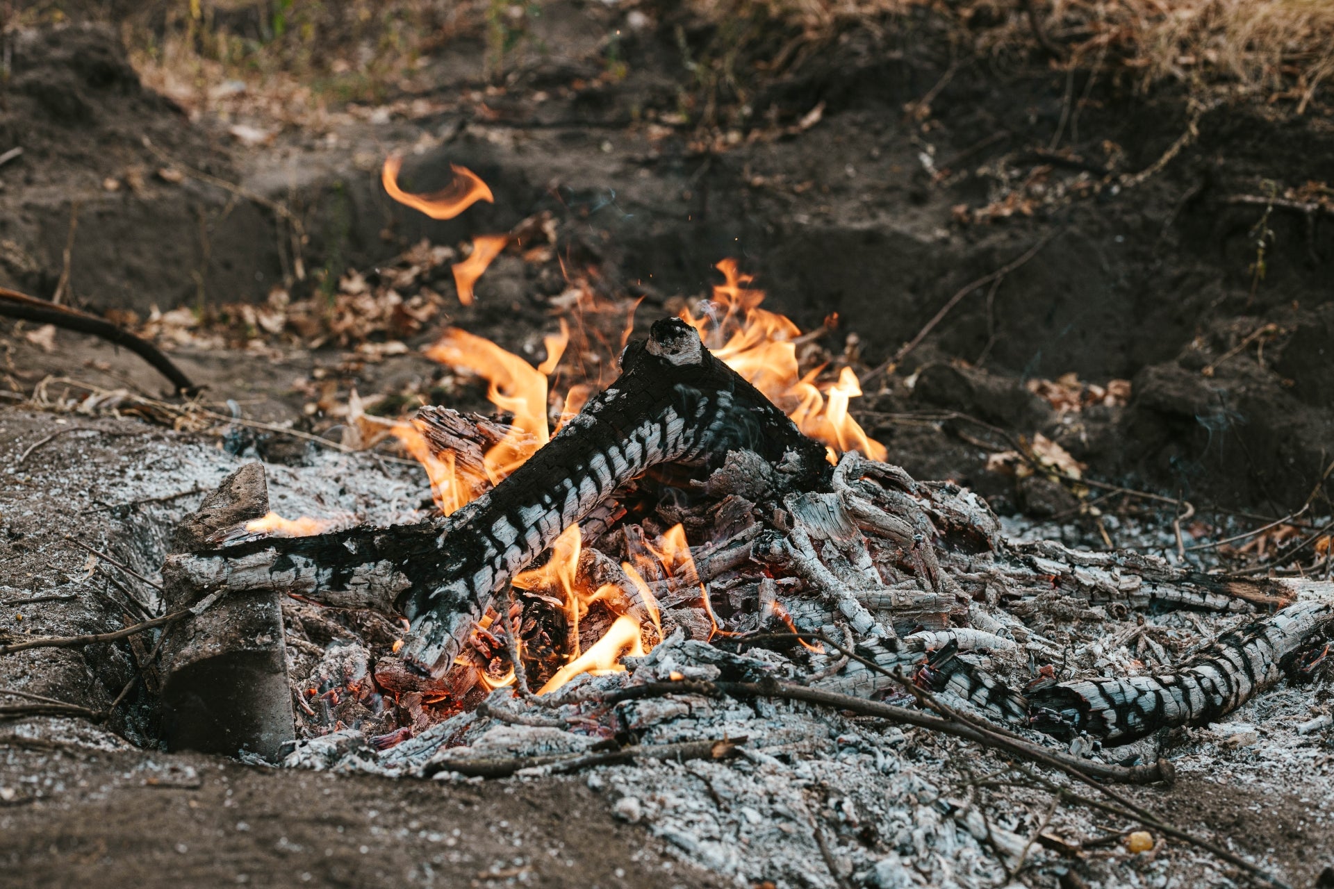 Around the Fire