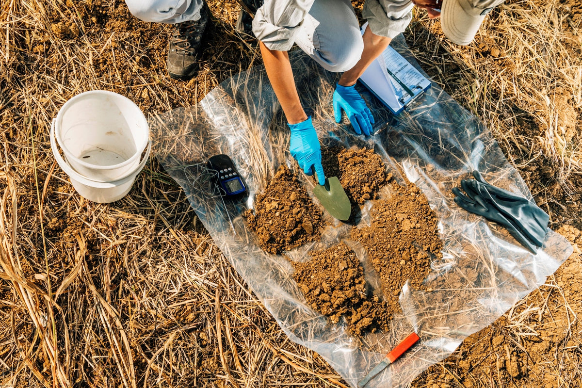 The Language of the Soil