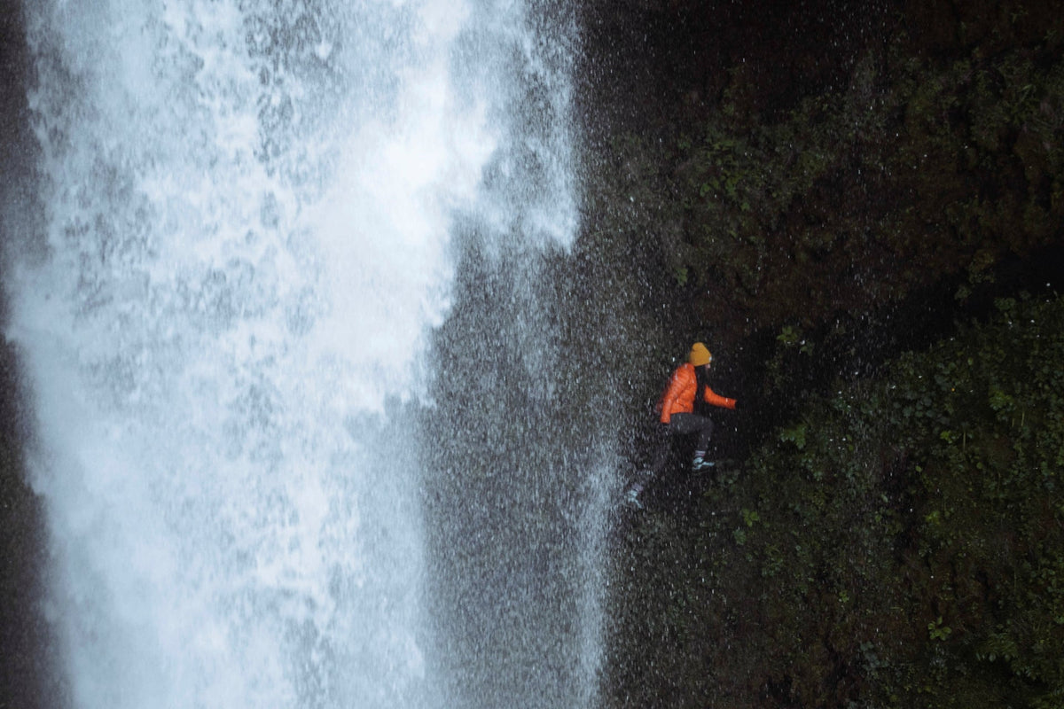 Wild Iceland